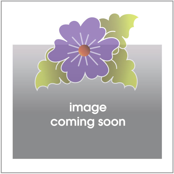 Our House Applique Quilt Pattern